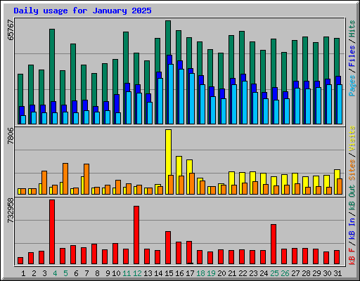 Daily usage for January 2025